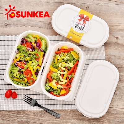 High Quality 100% Composatable Sugarcane Pulp Lunch Box For Takeaway Food With Lids